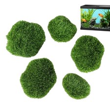 5pcs Green Marimo Moss Ball Cladophora Aquarium Water Plant Decoration