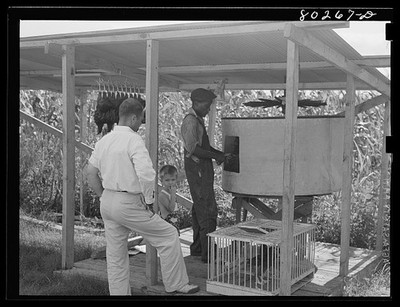 Photo:Enterprise Alabama 1941 FSA Cooperative Canning Station Corn Crib