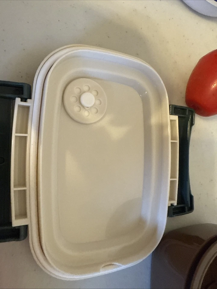 My Neighbor Totoro Skater Bento Lunch Box 430 ML Xpm-3 - Image 2 of 4