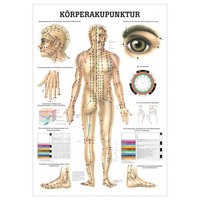 KöRperakupunktur Lehrtafel Anatomie 100X70 Cm Medizinische Lehrmittel