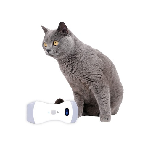 Veterinary Color Doppler Wireless Ultrasound Scanner Laptop Machine 3 in 1 probe - Picture 5 of 16