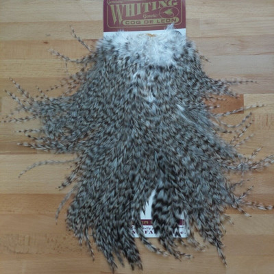 Whiting Coq de Leon Grizzly Pardo, Saddle bronze Qualität