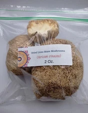 16 Ounces Whole Dried Lions Mane Mushroom (Hericium erinaceus) Organic 1 Pound