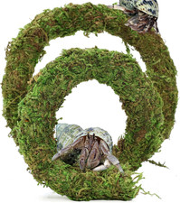 Bendable Hermit Crab Climbing Toys, Adjustable Fake Moss Vine for Pet Snail Herm