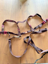 Pferdeleine / Halfter „Pferdefreunde“ – verstellbar – ab 4 Jahren