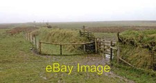 Photo 6x4 Great Ashcombe Simonsbath Paths from Prayway Head Symonsbath a c2008