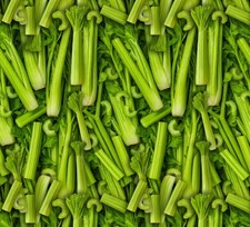 Food Fabric Fruits Veggies Packed Celery Green David Textiles YARD