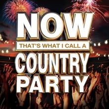 A Country Party von Now Thats What I Call a Country ... | CD | Zustand sehr gut