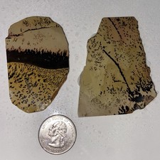 Chinese Painting Stone Rough Slab 1.96 Oz (2 Pc)