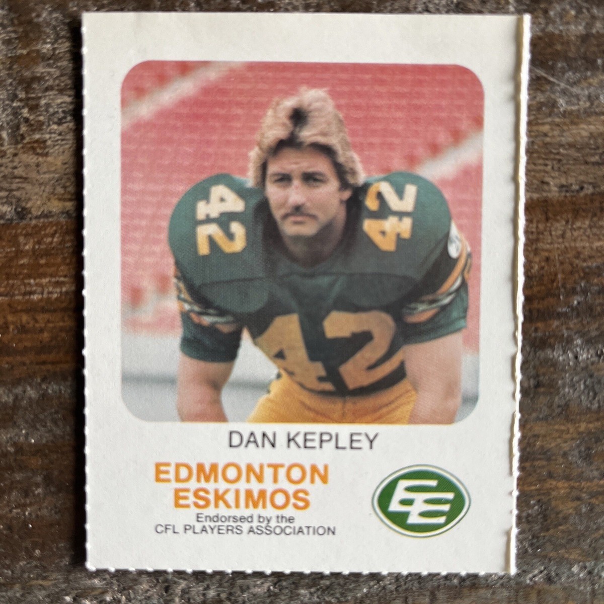 ロビン・フッド エンチャンテッド 1981 EDMONTON ESKIMOS CFL GREY CUP CHAMPS-RED ROOSTER