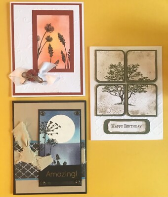 Handmade Greeting Cards - set of three - one birthday, two any occasion 