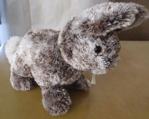 Cocoa Bunny 2008 Borders Exclusive 12" - Picture 2 of 5