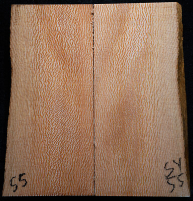 Sycamore #55 Knife Scales 5''x 2-2.5''x 7/16'' see 100 woods in my store