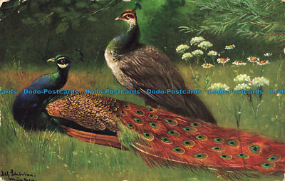 R648082 Peacock.Ernest Nister. Serie. 10. E. P. Dutton
