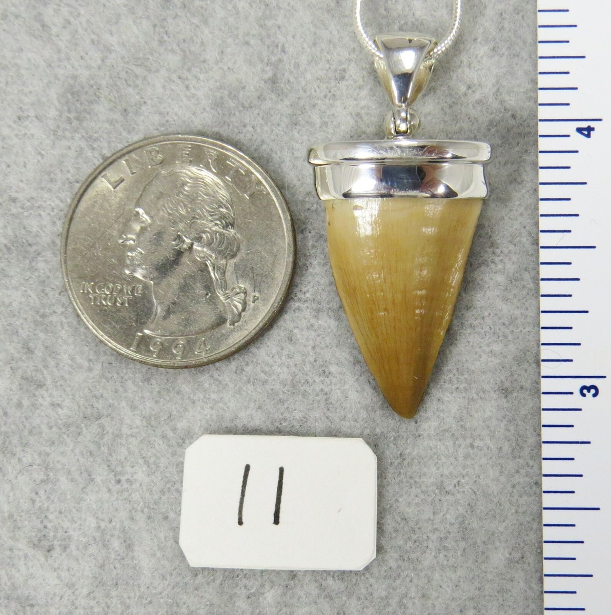 Dinosaur MOSASAURUS TOOTH PENDANT $69 Sterling Silver Jewelry