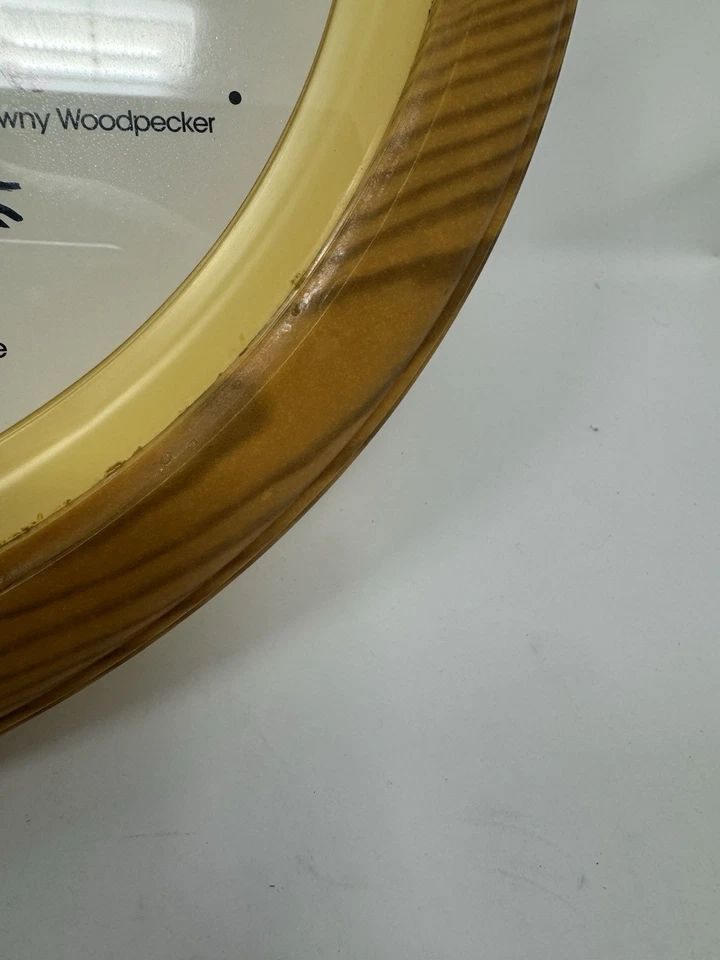 Reloj de cuarzo vintage de la National Audubon Society de los años 90 que repican pájaros en la hora Foto 4 de 4