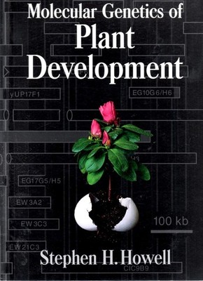 Molecular Genetics of Plant Development