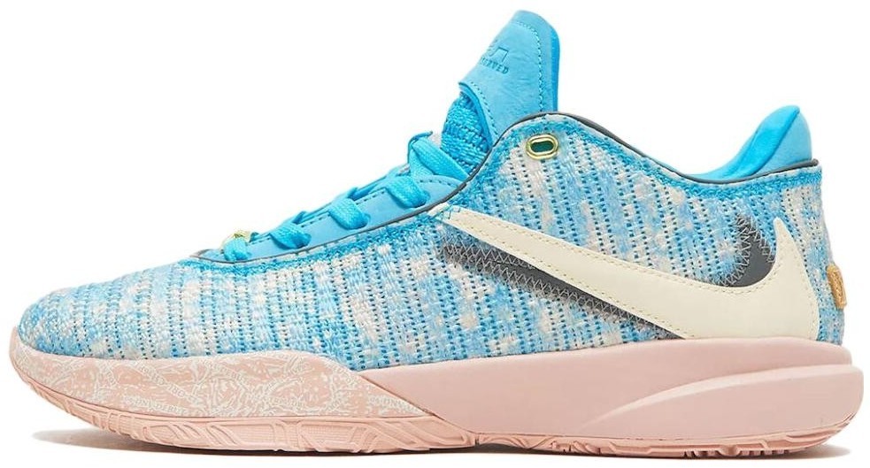 Nike LeBron 20 NRG EP South Beast for Sale | Authenticity