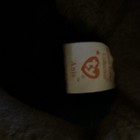 Ty Beanie Babies Ants the Anteater Plush Beanbag 1999 Retired Vintage MPN 4060 — photo 3