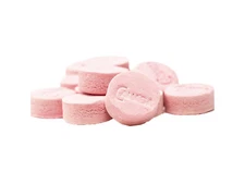 Bulk 2 lb Original CANADA MINTS Pink Wintergreen Logenzes