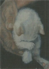 ACEO Print "Don't Cry Baby, You're Safe Now" cat