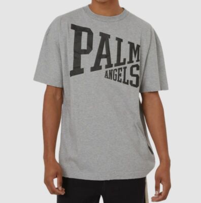 $525 Palm Angels Men Gray Cracked Logo Distressed Short-Sleeve T-Shirt Size L