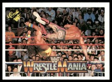 Rick Rude / Ultimate Warrior 1990 Classic WWF The History of Wrestlemania #111