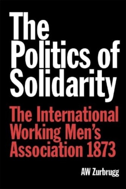 The Politics of Solidarity by A W Zurbrugg PAPERBACK 9780850367904