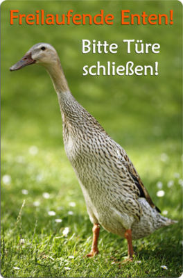 Indische LAUFENTE Ente - A4 Alu SCHILD Stallschild Boxenschild Tor - NTE 01 HF