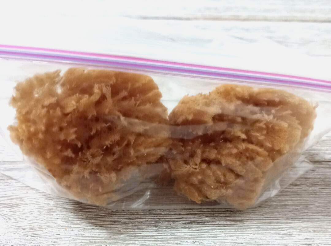 pet Natural sea sponges hermit crabs feeding watering 2 piece set pack