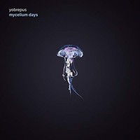 Mycelium Days - Vinyl Record - G3Z