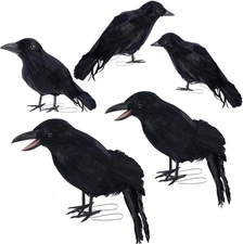 DR.DUDU 5 Pack Halloween Crow Decorations - Realistic Black Feathered Props