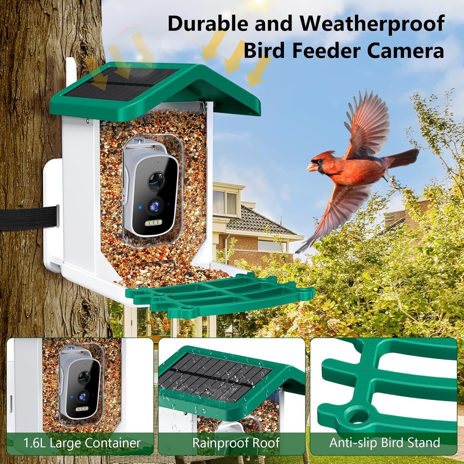 Smart Bird Feeder with Camera, AI Species Identification Solar Green 