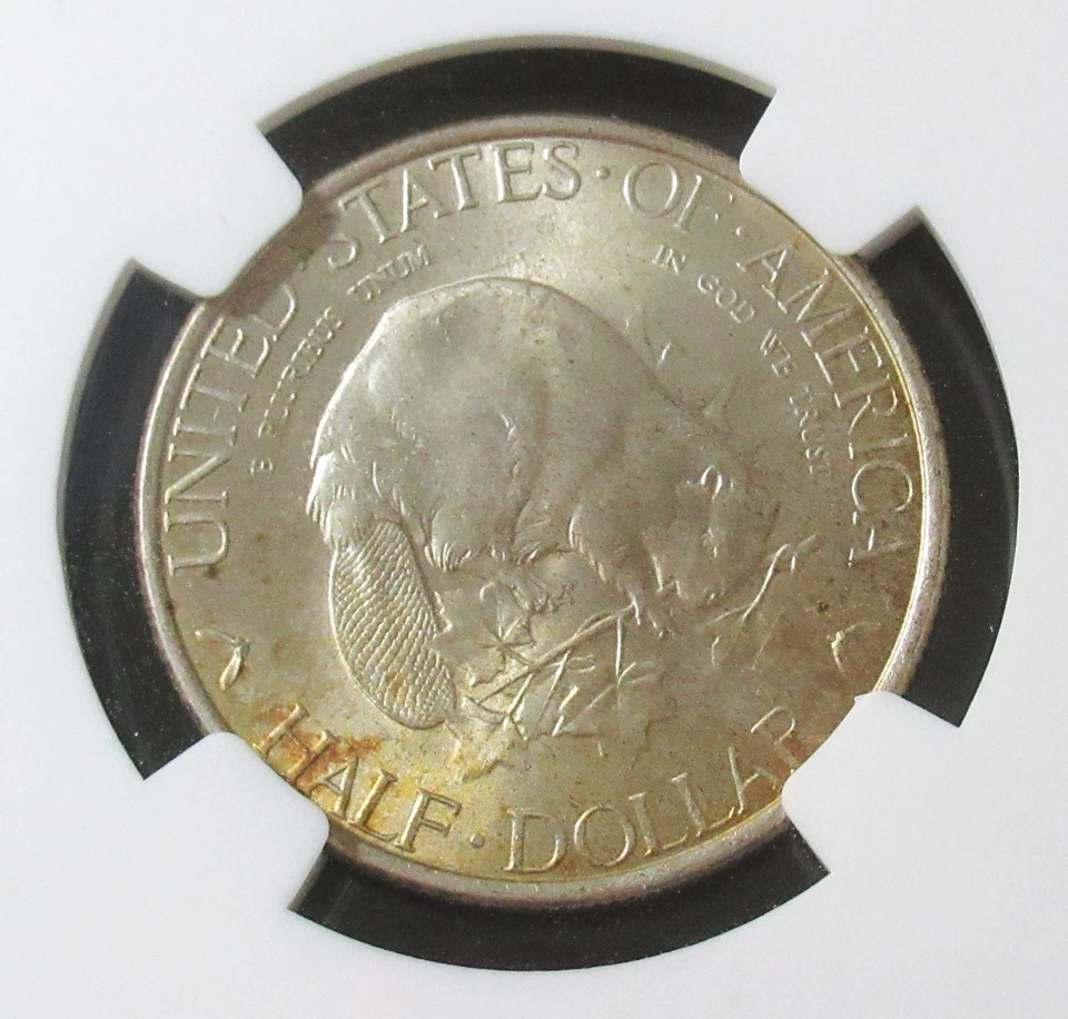 1936 50C Albany Commemorative MS65 NGC - Image 2 of 4