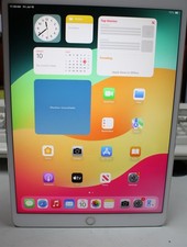 Apple iPad Pro 1st Gen 10.5" 256GB Wi-Fi Cellular Tablet Light Spots