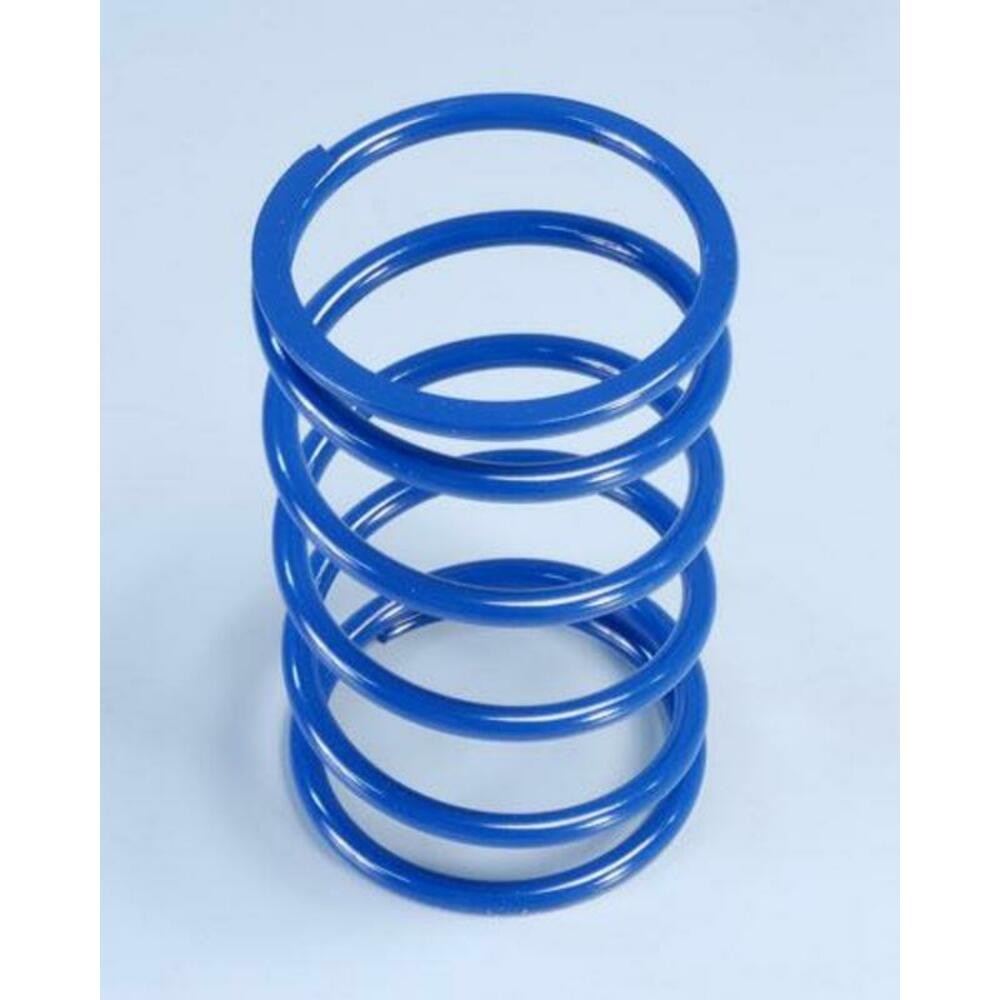 Polini Contrast Spring Piaggio 500-400 (243078) For Motorcycle Parts