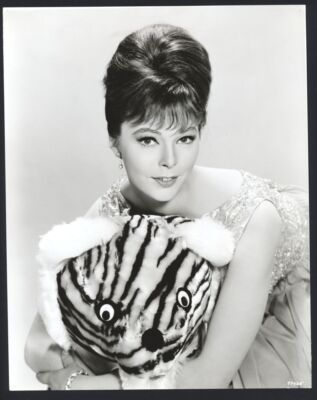 1960s ANNE HELM Vintage Original Photo DESIRE IN THE DUST | eBay
