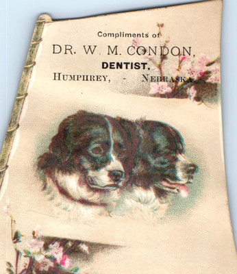 1880s Die-Cut Sail Dr. W.M. Condon Dentist Vitalized Air Humphrey, NE F211