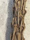 Bild 6 von 10