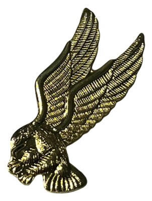 Pack of 50 Eagle (L) Motorcycle Hat Cap Lapel Pin M-346