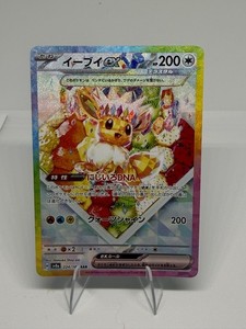 Eevee Ex 224 | eBay