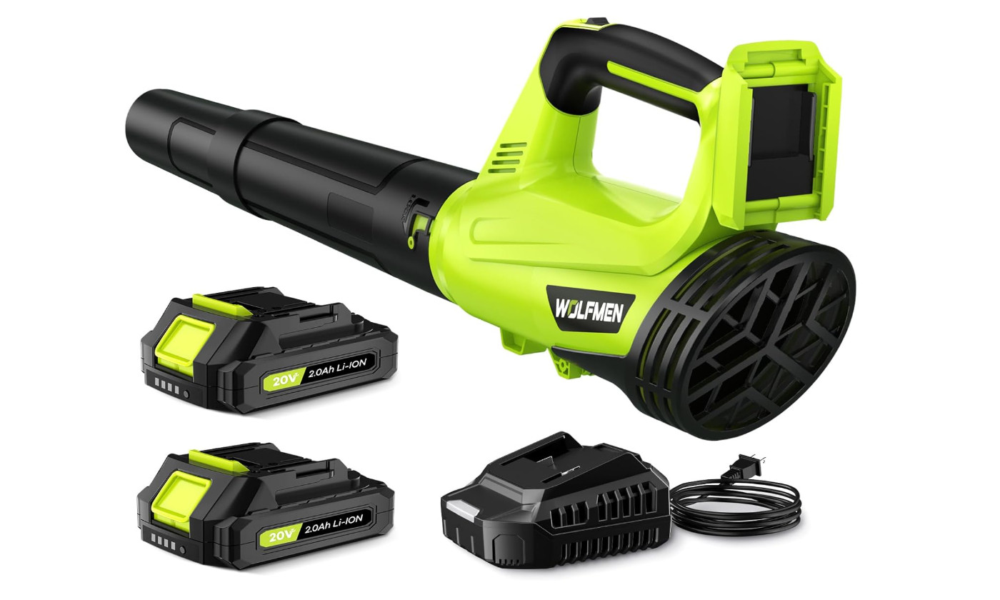 Cordless Electric Leaf Blower with 2 Batteries, 2-Speed, Lightweight Tool
