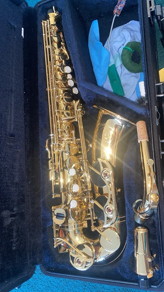 Saxofón alto Yamaha YAS-62 profesional con boquilla/estuche original FUNCIONA Foto 2 de 4