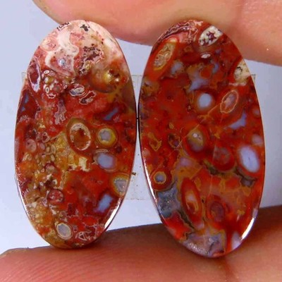 14.90Cts. 100%Natural Red Palm Root Agate Oval Pair Cab 11x21x3mm Top Gemstone