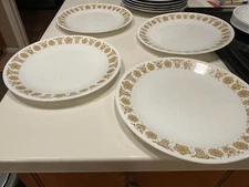 Corelle 10 1/4" BUTTERFLY GOLD Dinner Plates Set of 4