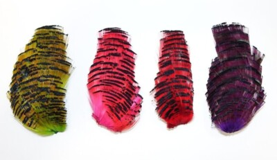 Goldfasan Tippet Sektion highlander green | purple | rot | fluo pink TIPPET