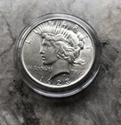 Peace Dollar coin from a recent eBay sale