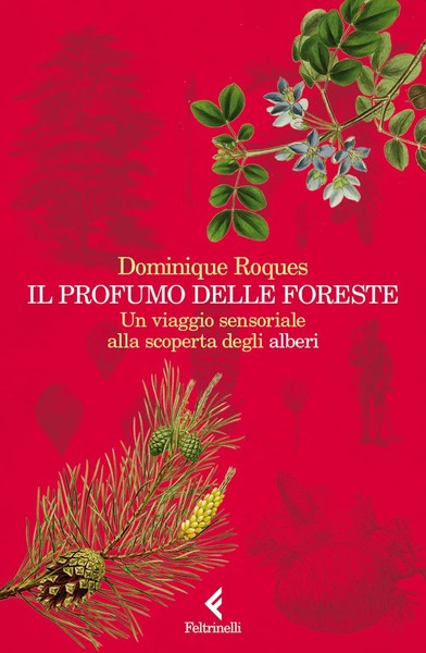 Il Profumo Delle Foreste. Un Viaggio Sensoriale Alla Scoperta Degli Alberi-image