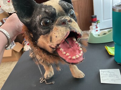 vintage paper-mache french bulldog growler from France 1890 | eBay