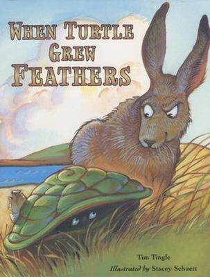 When Turtle Grew Feathers : A Tale from the Choctaw Nation Hardco